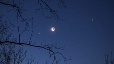 Astronomia destaca alinhamento de lua, Vênus e Regulus em 2025