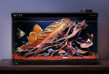 Dangbei apresenta aquário inteligente e projetor 4K na IFA 2025