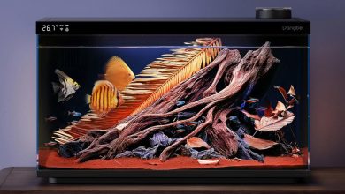 Dangbei apresenta aquário inteligente e projetor 4K na IFA 2025