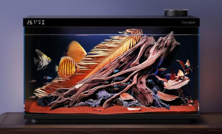 Dangbei apresenta aquário inteligente e projetor 4K na IFA 2025