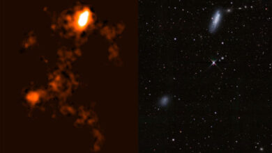 Radio (left) and optical (right) images of NGC 4532 / DDO 137. Image credit: ICRAR / D. Lang, Perimeter Institute.