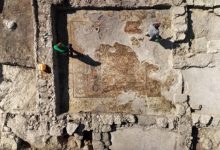 A mosaic floor in a building at the archaeological site of Kh. Kafr Ḥatta, Israel. Image credit: Israel Antiquities Authority.