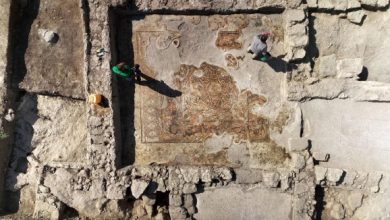 A mosaic floor in a building at the archaeological site of Kh. Kafr Ḥatta, Israel. Image credit: Israel Antiquities Authority.