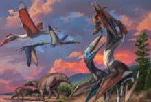Two New Species of Pterosaurs Discovered in Mongolia