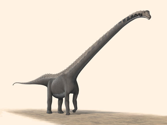Mamenchisaurus youngi, a sister species of Huashanosaurus qini. Image credit: Steveoc 86 / CC BY-SA 2.5.