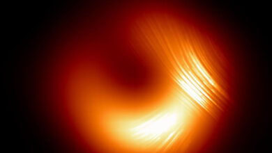 EHT Captures Evolving Polarization Patterns in Messier 87’s Black Hole