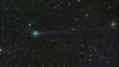 NASA descobre fatos curiosos sobre cometas e suas órbitas