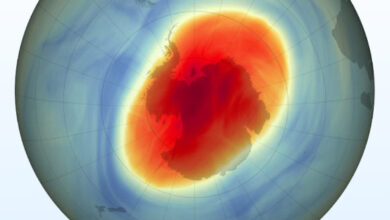 This map shows the size and shape of the ozone hole over the South Pole on October 5, 2022, when it reached its single-day maximum extent for the year. Image credit: Joshua Stevens / NASA’s Earth Observatory.