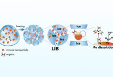 Schematic representation of iron mineral dissolution reactions in ice. Image credit: Sebaaly et al., doi: 10.1073/pnas.2507588122.