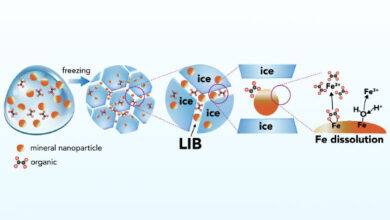 Schematic representation of iron mineral dissolution reactions in ice. Image credit: Sebaaly et al., doi: 10.1073/pnas.2507588122.