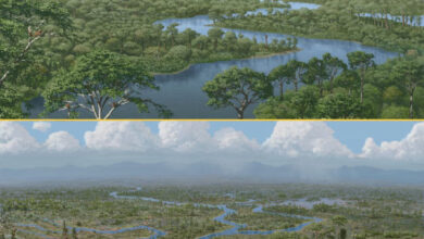 Dinosaurs were ecosystem engineers, preventing dense forests from growing; their sudden demise led to widescale ecological changes, as represented here in an artistic rendering. Image credit: Julius Csotonyi.