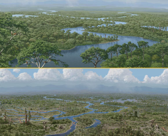Dinosaurs were ecosystem engineers, preventing dense forests from growing; their sudden demise led to widescale ecological changes, as represented here in an artistic rendering. Image credit: Julius Csotonyi.