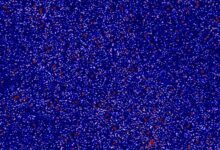 A small part of the sky seen in radio waves by the Murchison Widefield Array. Image credit: Nunhokee et al. / ICRAR / Curtin University.