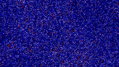 A small part of the sky seen in radio waves by the Murchison Widefield Array. Image credit: Nunhokee et al. / ICRAR / Curtin University.