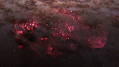 Pesquisa mapeia 44 milhões de estrelas da Via Láctea