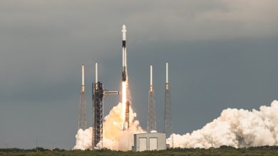 SpaceX recebe aprovação para dobrar lançamentos na Flórida