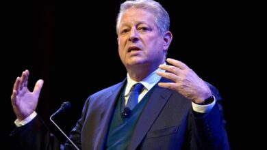 Al Gore e Lila Preston investem em economia de energia