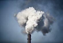 Al Gore usa IA para monitorar 660M de poluidores de carbono-zero