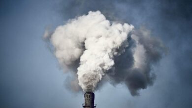 Al Gore usa IA para monitorar 660M de poluidores de carbono-zero