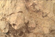 NASA Perseverance rover encontra 'tartaruga' em Marte