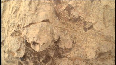 NASA Perseverance rover encontra 'tartaruga' em Marte