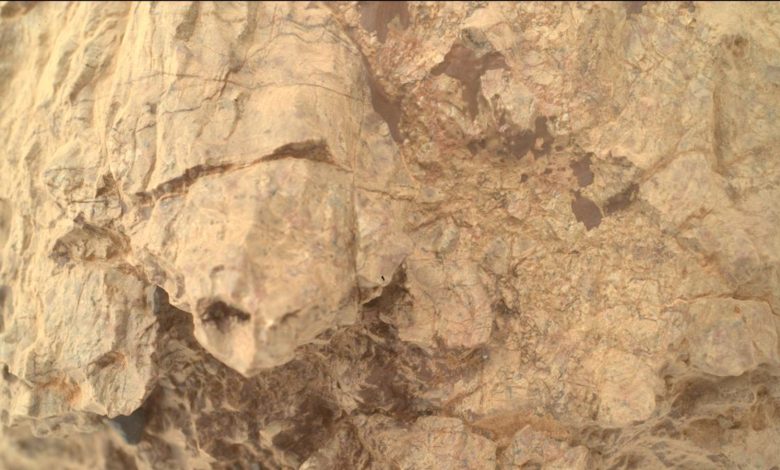 NASA Perseverance rover encontra 'tartaruga' em Marte
