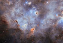 This Hubble image shows the star cluster N11. Image credit: NASA / ESA / Hubble / C. Murray / J. Maíz Apellániz.