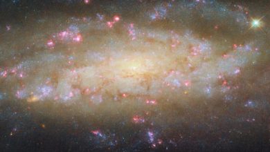 This Hubble image shows NGC 7456, a spiral galaxy located 51 million light-years away in the constellation of Grus. Image credit: NASA / ESA / Hubble / D. Thilker.