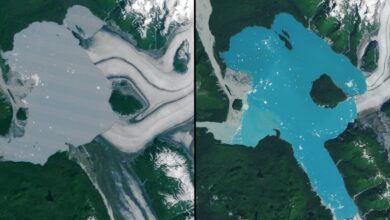Satélites da NASA detectam nova ilha no Alasca formadas por geleira