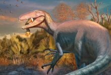 Descoberta revela megaraptor de 2,000 libras devorando crocodilo