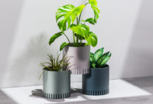 Design sustentável: 5 sistemas de jardineiras modulares