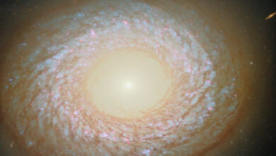 This Hubble image shows NGC 2775, a galaxy some 67 million light-years away in the constellation of Cancer. Image credit: NASA / ESA / Hubble / F. Belfiore / J. Lee / PHANGS-HST Team.