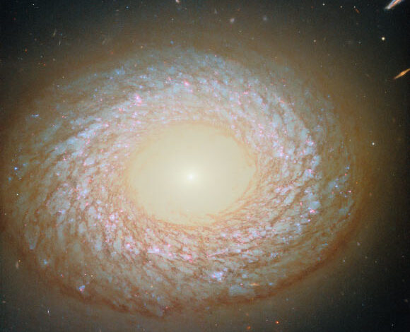 This Hubble image shows NGC 2775, a galaxy some 67 million light-years away in the constellation of Cancer. Image credit: NASA / ESA / Hubble / F. Belfiore / J. Lee / PHANGS-HST Team.