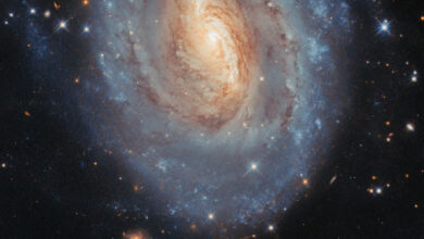 This Hubble image shows NGC 6000, a barred spiral galaxy some 102 million light-years away in the constellation of Scorpius. Image credit: NASA / ESA / Hubble / A. Filippenko / M.H. Özsaraç.