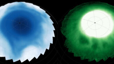 Detections of near-infrared emissions in Saturn’s ionosphere (left) show dark bead-like features embedded within bright aurora; in the stratosphere (right), 500 km below, a lopsided star-pattern extends towards the equator. Image credit: NASA / ESA / CSA / Webb / Stallard et al.