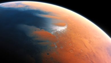 Perseverance Finds Potential Chemical Signatures of Ancient Microbial Life on Mars