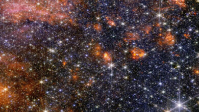 Stars, gas and cosmic dust in the Sagittarius B2 molecular cloud glow in near-infrared light, captured by Webb’s NIRCam instrument. Image credit: NASA / ESA / CSA / STScI / A. Ginsburg, University of Florida / N. Budaiev, University of Florida / T. Yoo, University of Florida / A. Pagan, STScI.