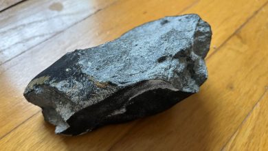 NASA descobre micrometeoritos fossilizados em órbita terrestre
