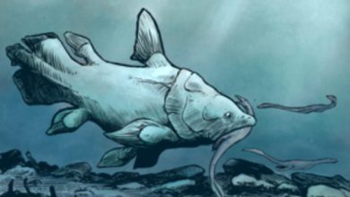 An artist’s reconstruction of a large mawsoniid coelacanth from the British Rhaetian. Image credit: Daniel Phillips.