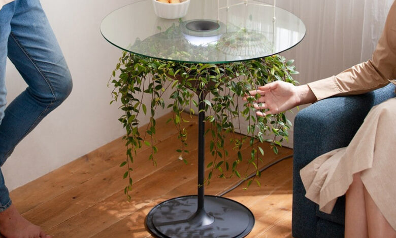 Biophilic design: 5 produtos que trazem natureza ao lar