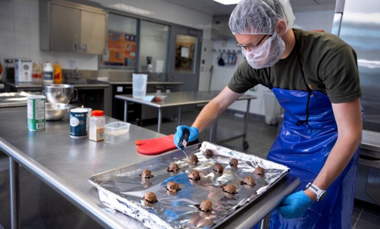 Estudo avalia carne moída com resíduos de maçã