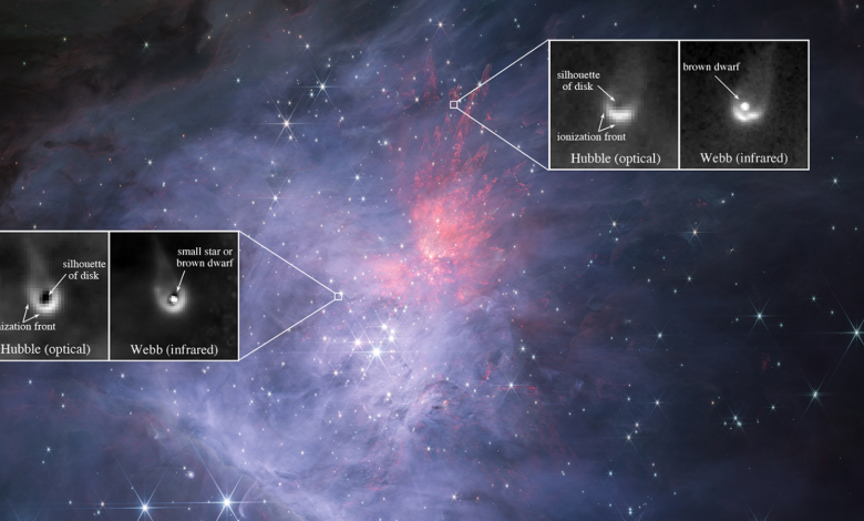NASA descobre disco planetário rico ao redor de estrela falha