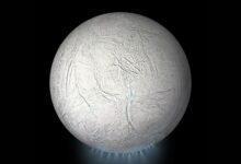 NASA investiga vida em satélite Enceladus após novo estudo