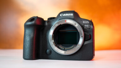 Pesquisa avalia Canon EOS R6 II em reserva natural