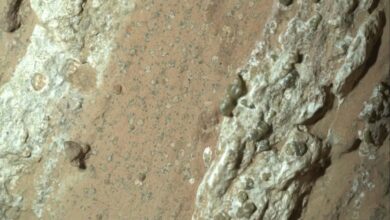 NASA e cientistas debatem amostras do rover Perseverance