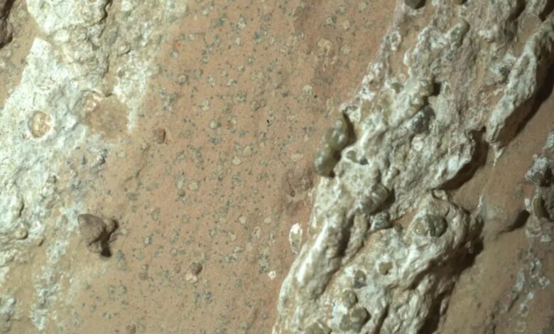 NASA e cientistas debatem amostras do rover Perseverance