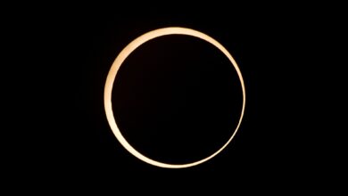 NASA prepara público para eclipse solar anelar de 2026