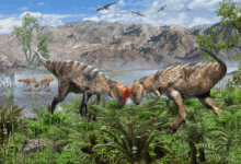 Pesquisa identifica fóssil de dinossauro mais antigo na Mongólia