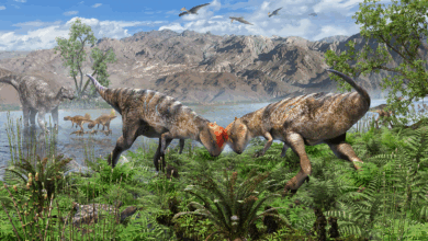 Pesquisa identifica fóssil de dinossauro mais antigo na Mongólia