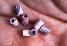 Descoberta científica revela wampum raro em colônia do século 17